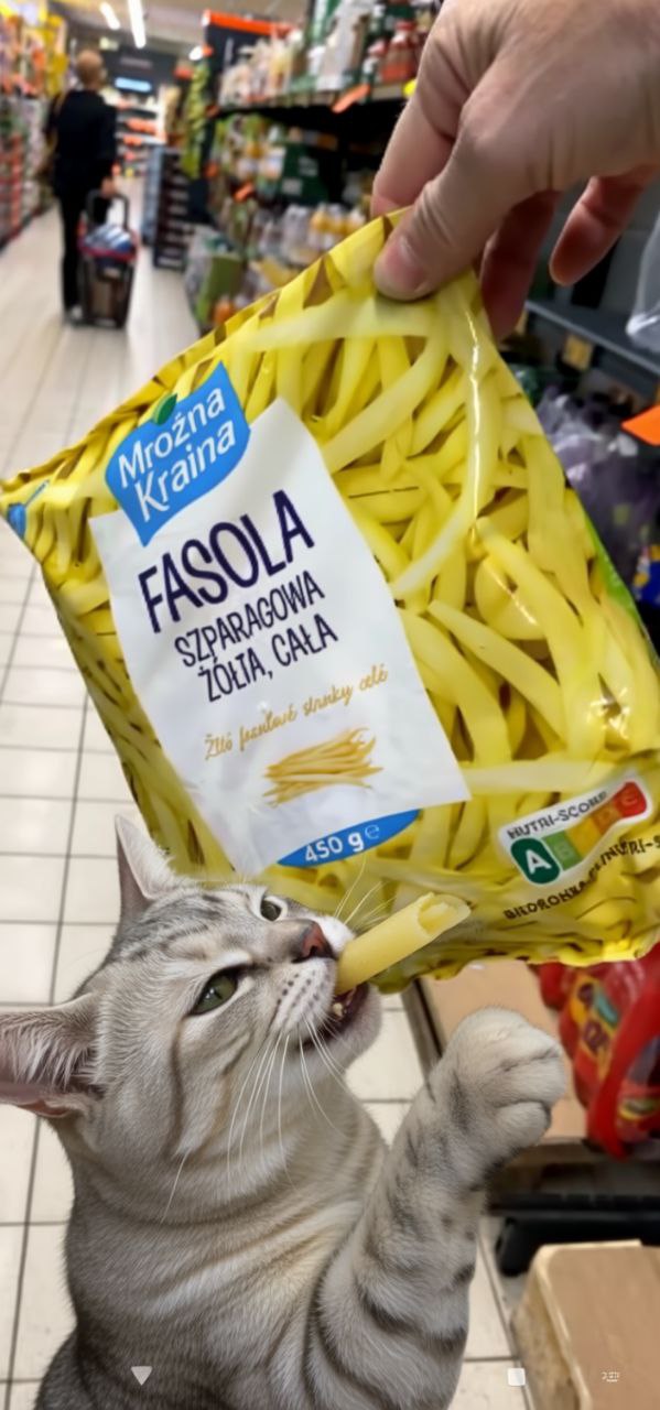 Kot Andrzej w całej okazałości